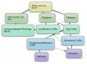 Mindmap of which company should you choose
